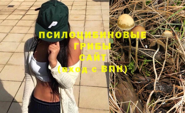 амфетамин Приозерск