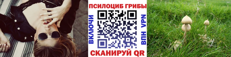 купить наркотик  Беслан  Псилоцибиновые грибы ЛСД 