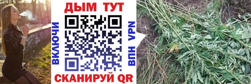 купить   Беслан  Конопля VHQ 
